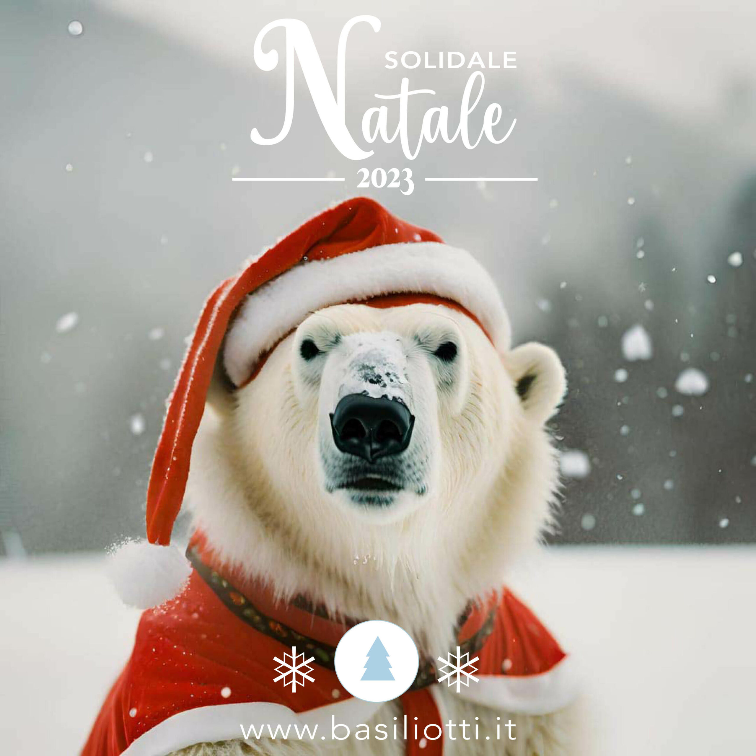 Orso polare con cappello di Babbo Natale e scritta 'Natale Solidale' - Immagine rappresentativa della campagna di Natale solidale di Basiliotti, azienda specializzata in packaging sostenibile.